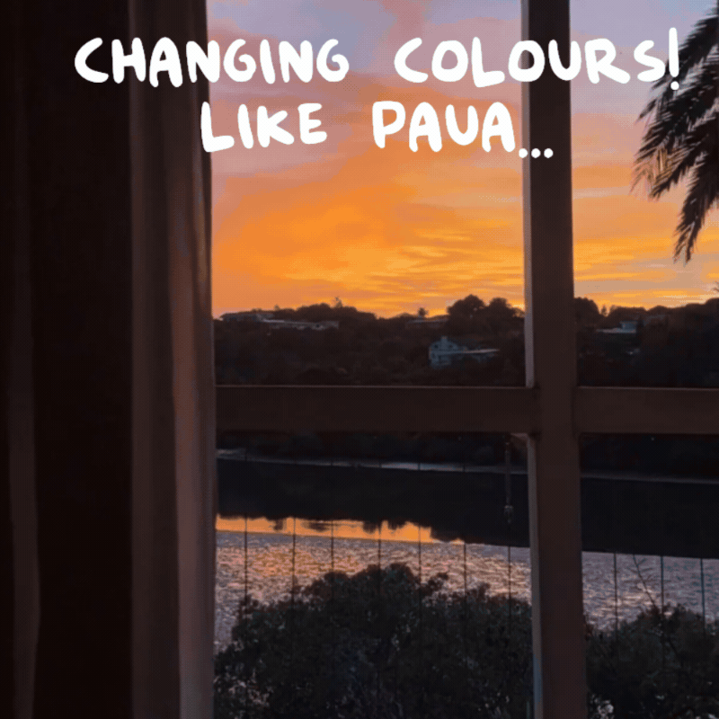 Kerikeri sunrise in paua colours