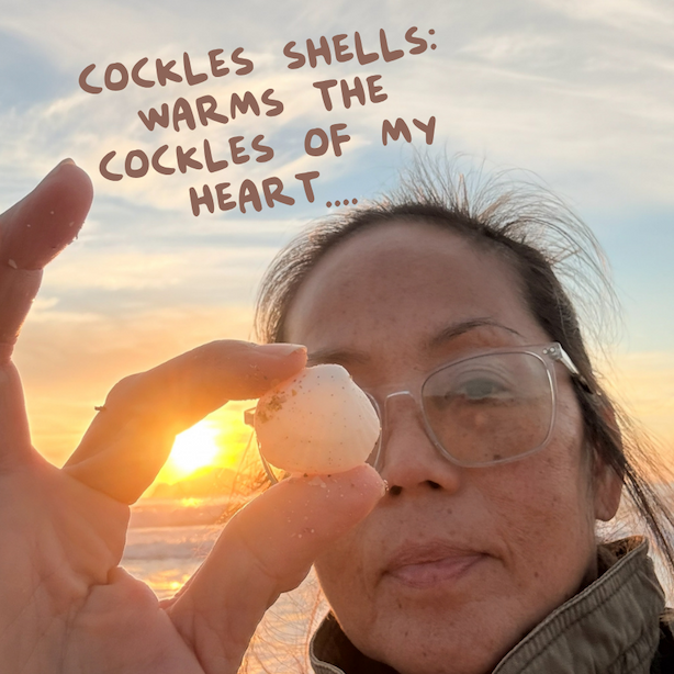 Beachcombing finds