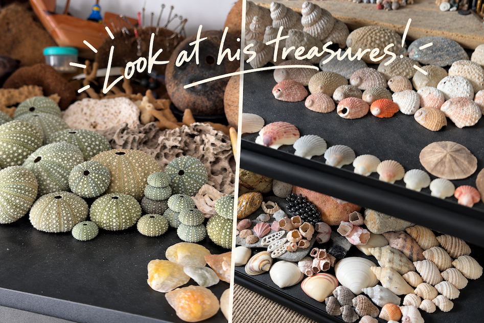 A closer look at James's collection