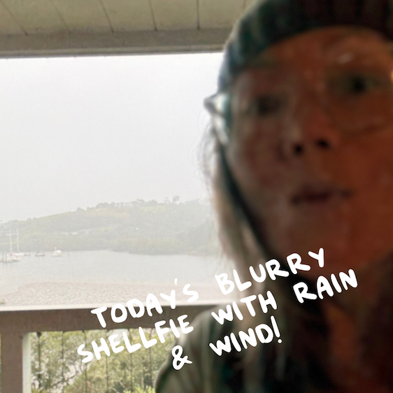 Shellfie in bad weather