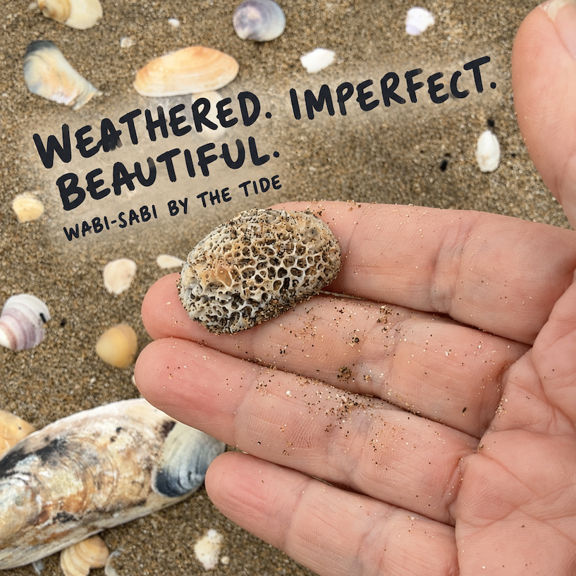 Bioeroded slipper shell