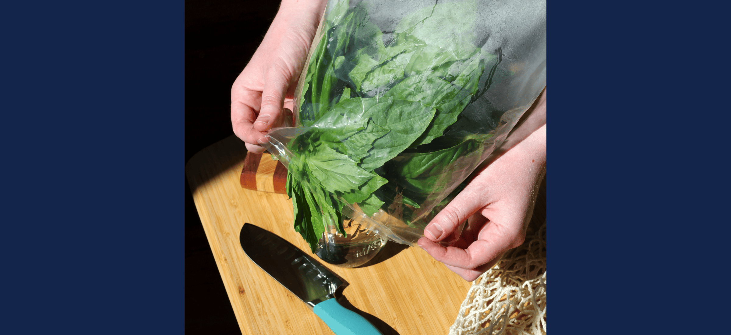 Hands placing a bunch of fresh basil in a jar of water, loosely covered with a plastic bag to keep it fresh, with a kitchen knife and wooden cutting board nearby.