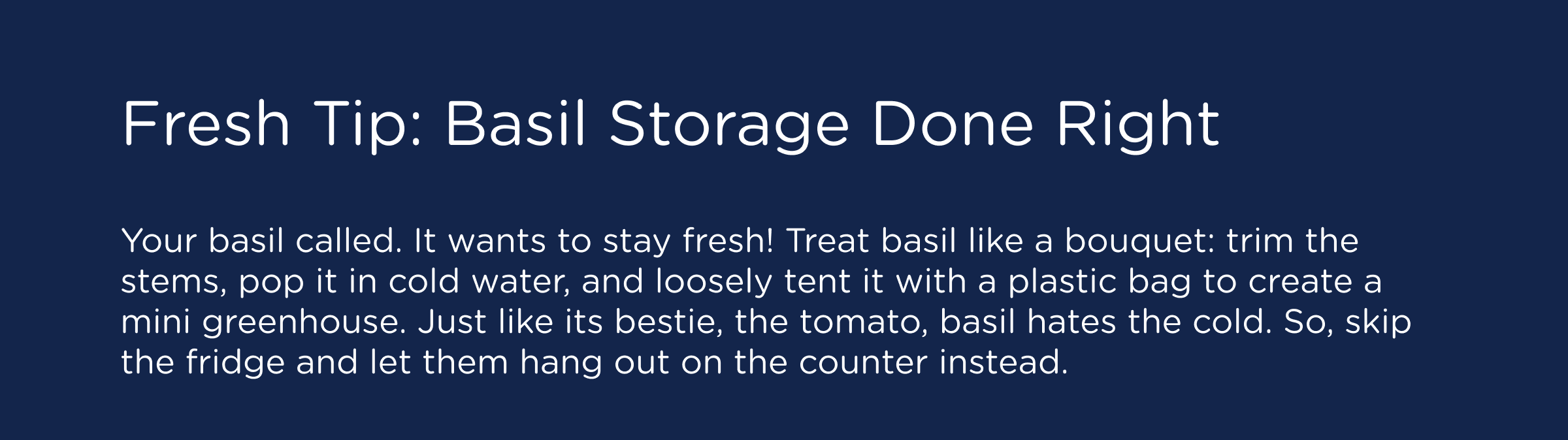 Fresh Tip: Basil Storage Done Right. Your basil called. It wants to stay fresh! Treat basil like a bouquet: trim the stems, pop it in cold water, and loosely tent it with a plastic bag to create a mini greenhouse. Just like its bestie, the tomato, basil hates the cold. So, skip the fridge and let them hang out on the counter instead.
