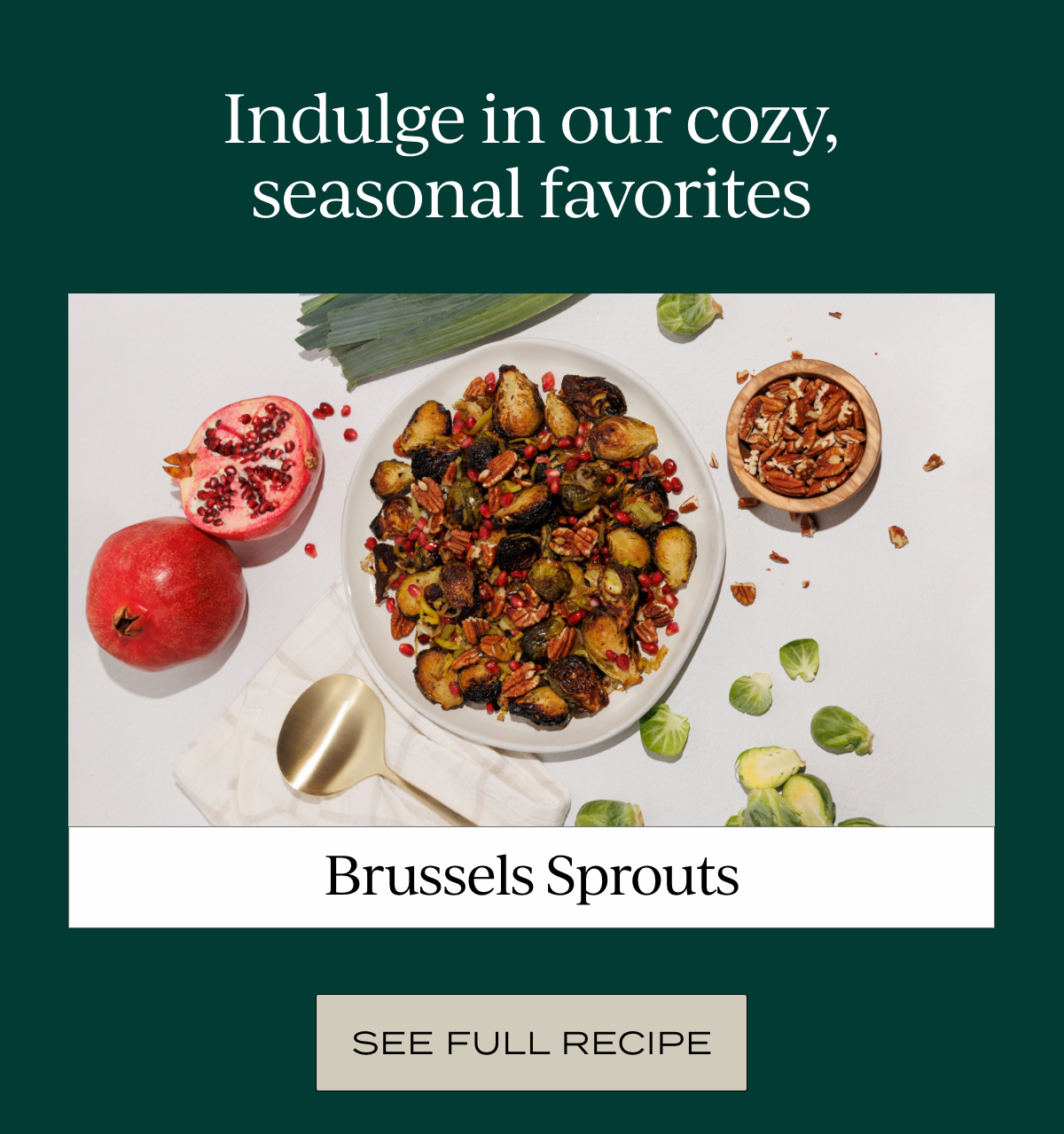 Brussels Sprouts Reel