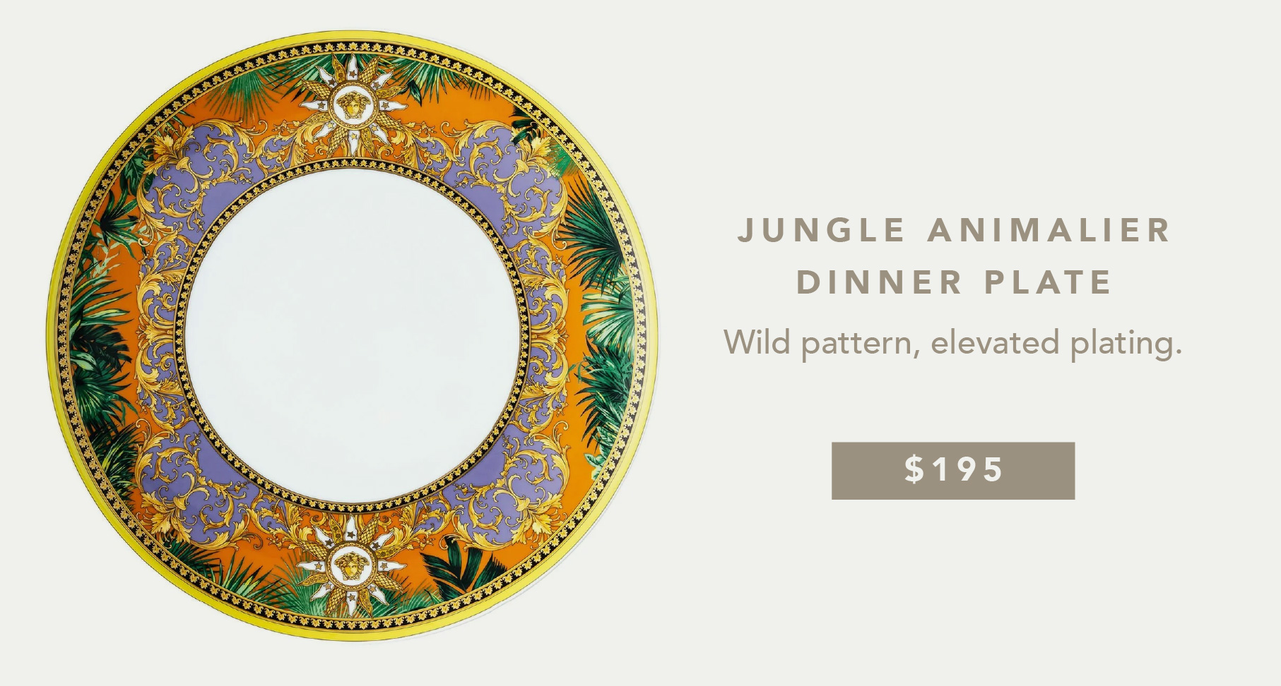 an image of a plate with a picture of a jungle animal