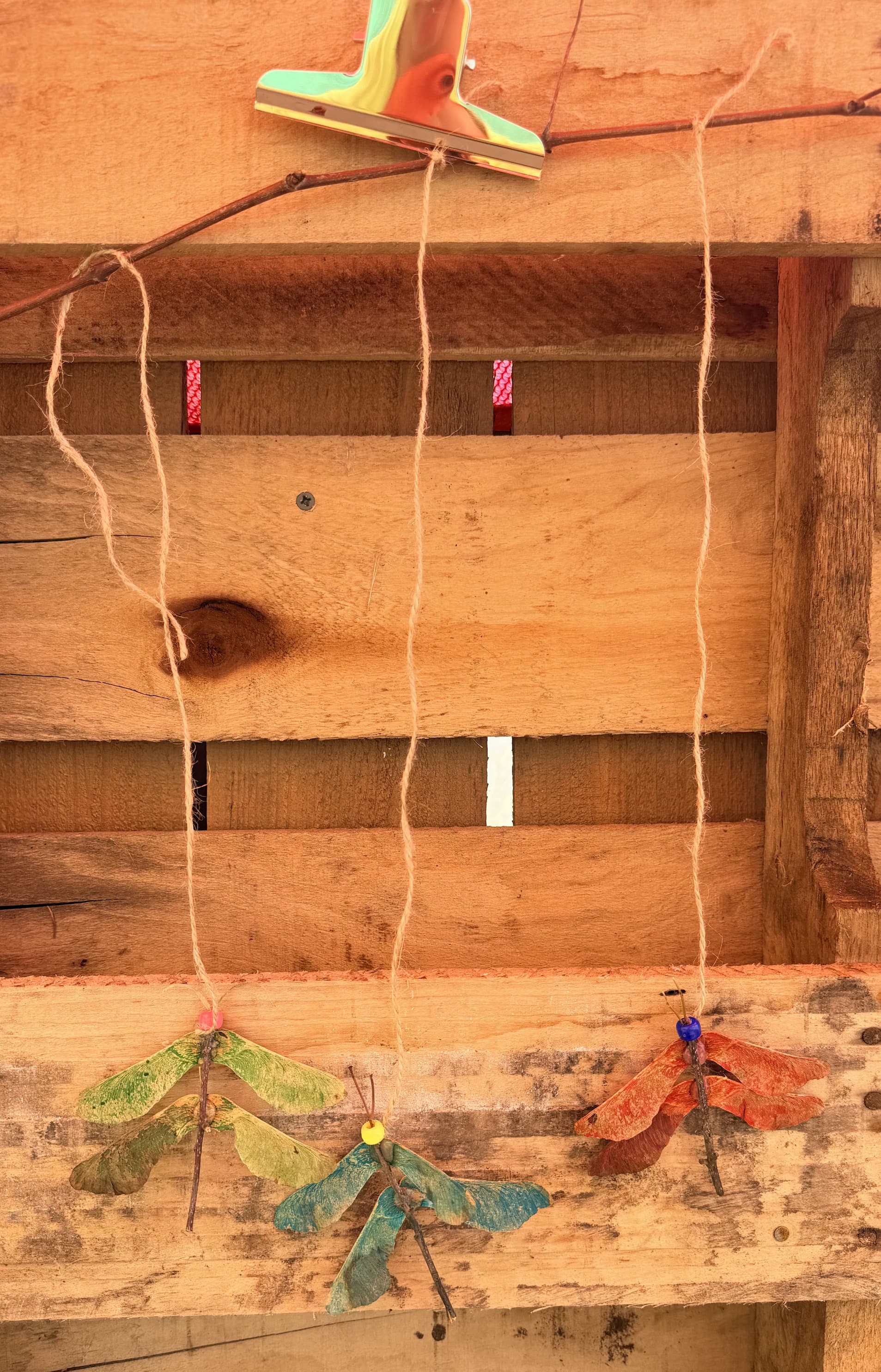 Dragonfly craft 2