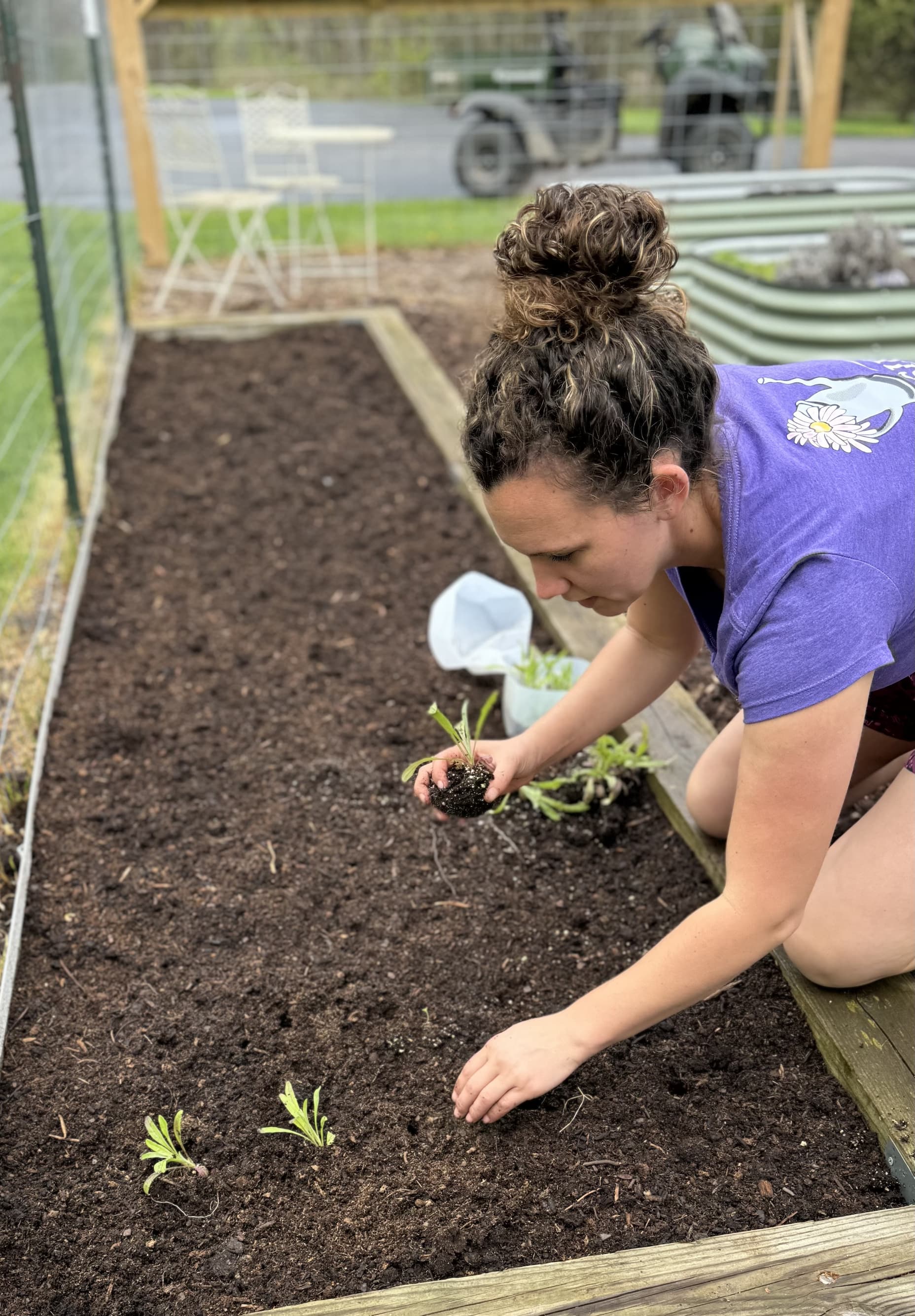 Caroline planting the seedlings