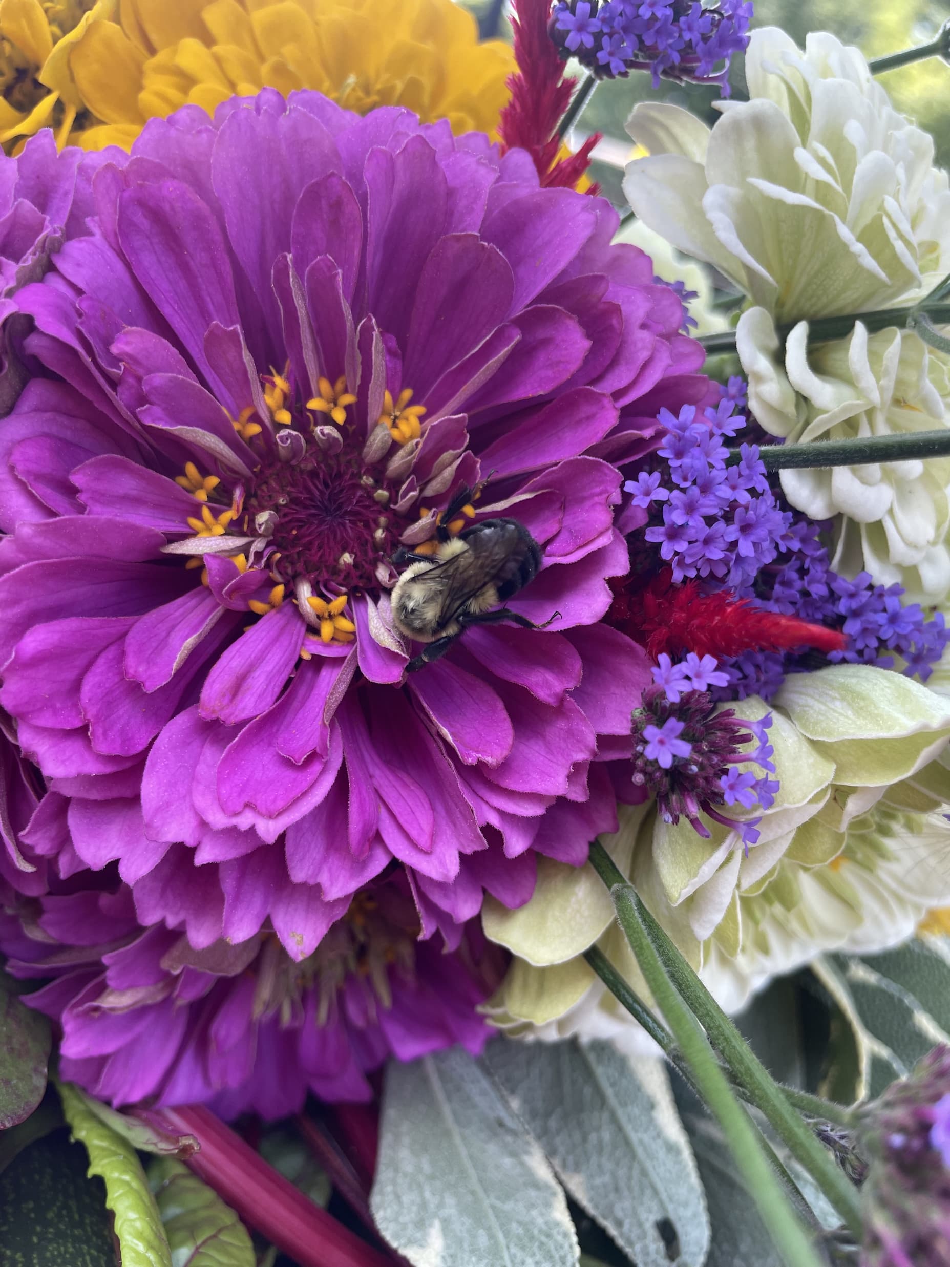 Bumblebee on some flowers