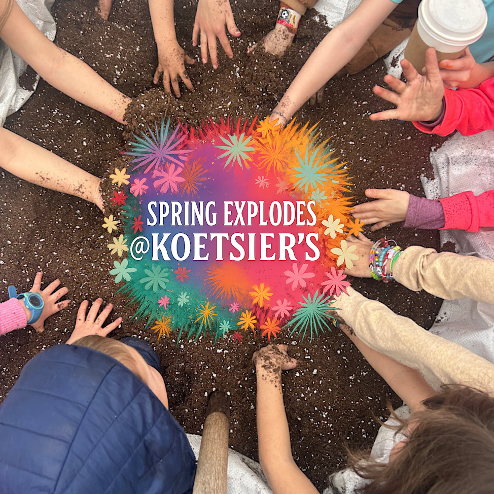 Spring Explodes @ Koetsier's