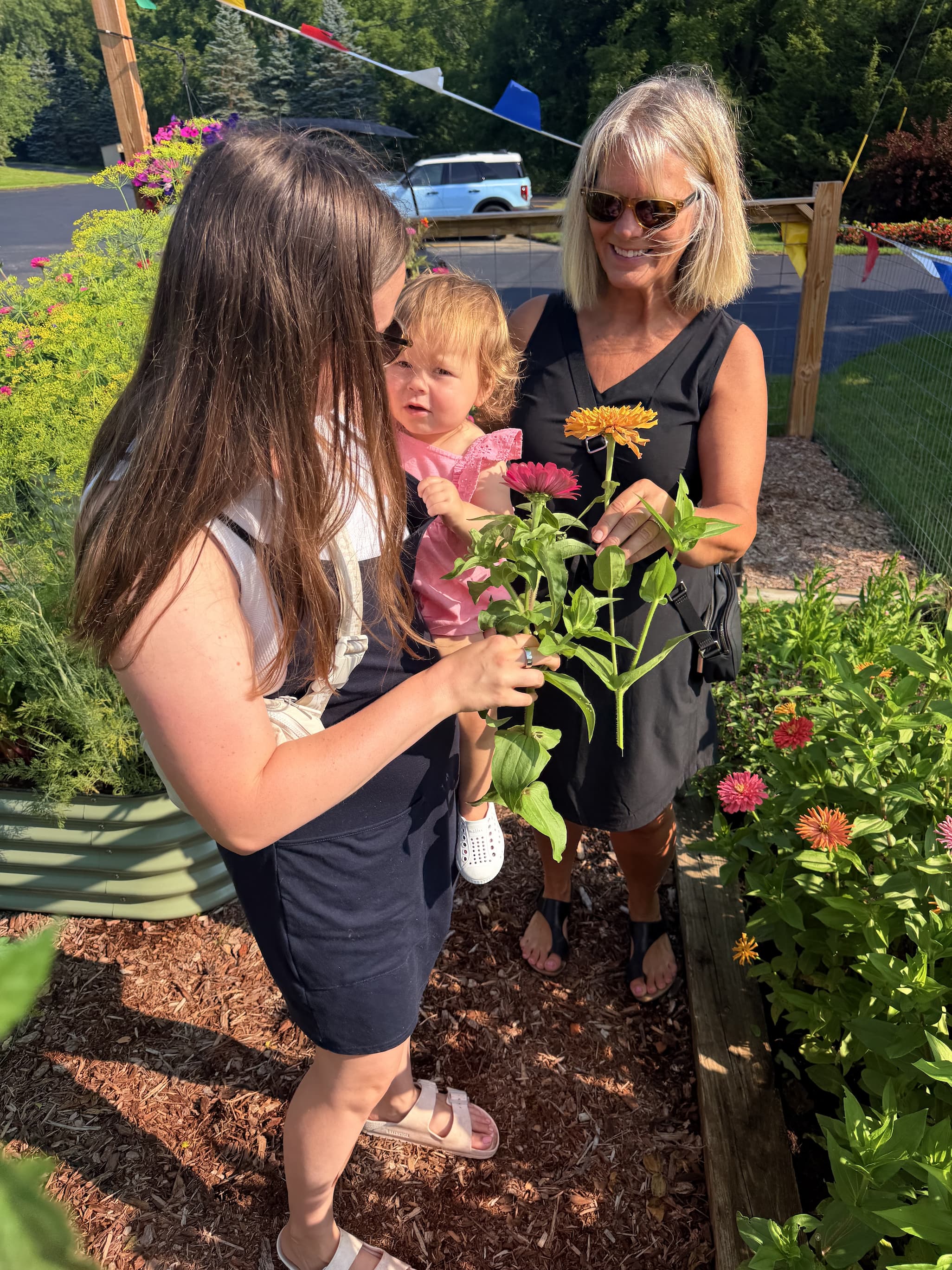 Flower family in the teaching garden