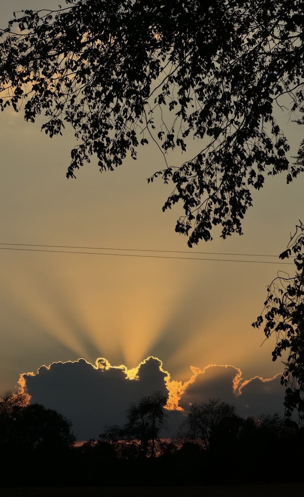 Pretty sunrise photos