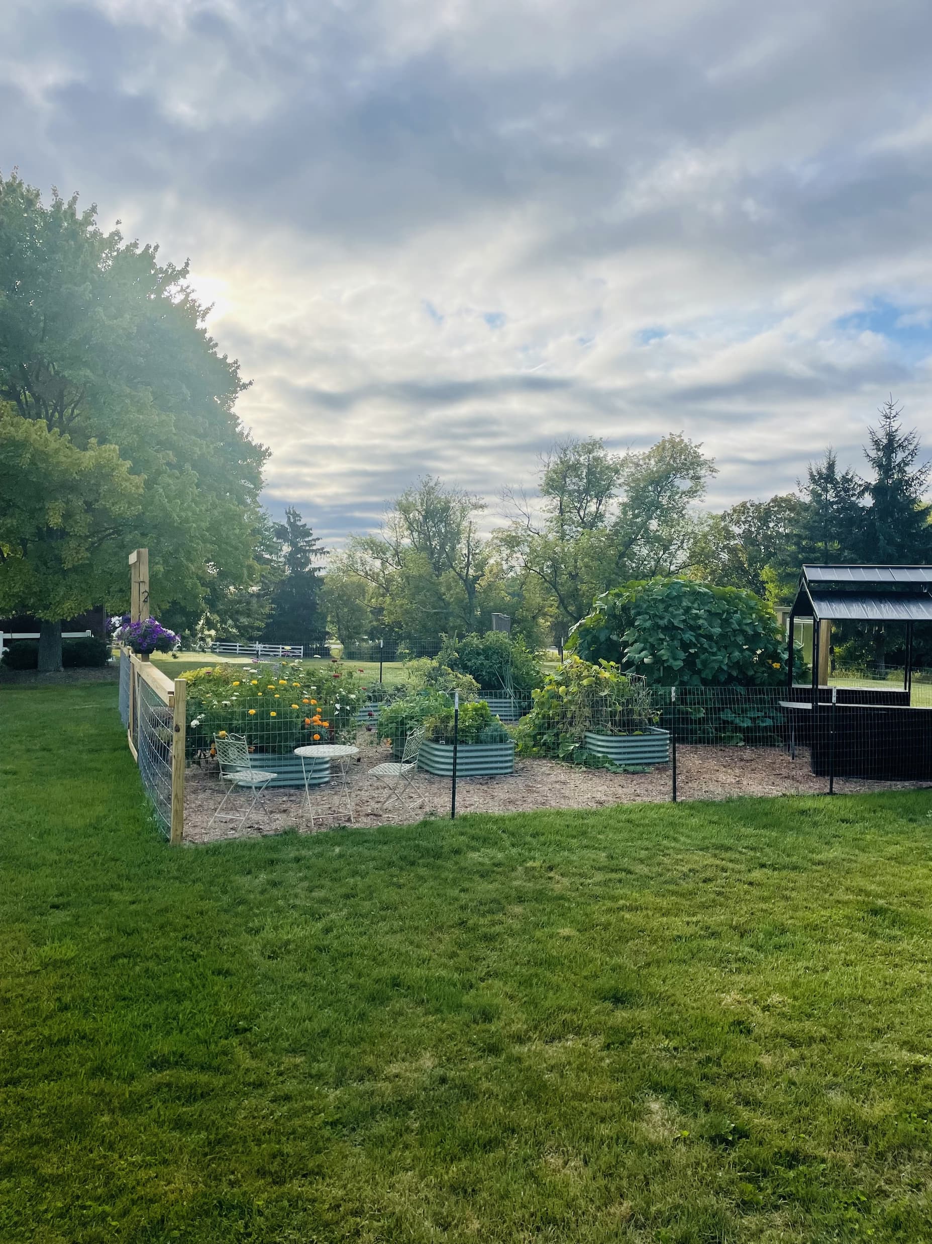 The whole Teaching Garden in it's glory