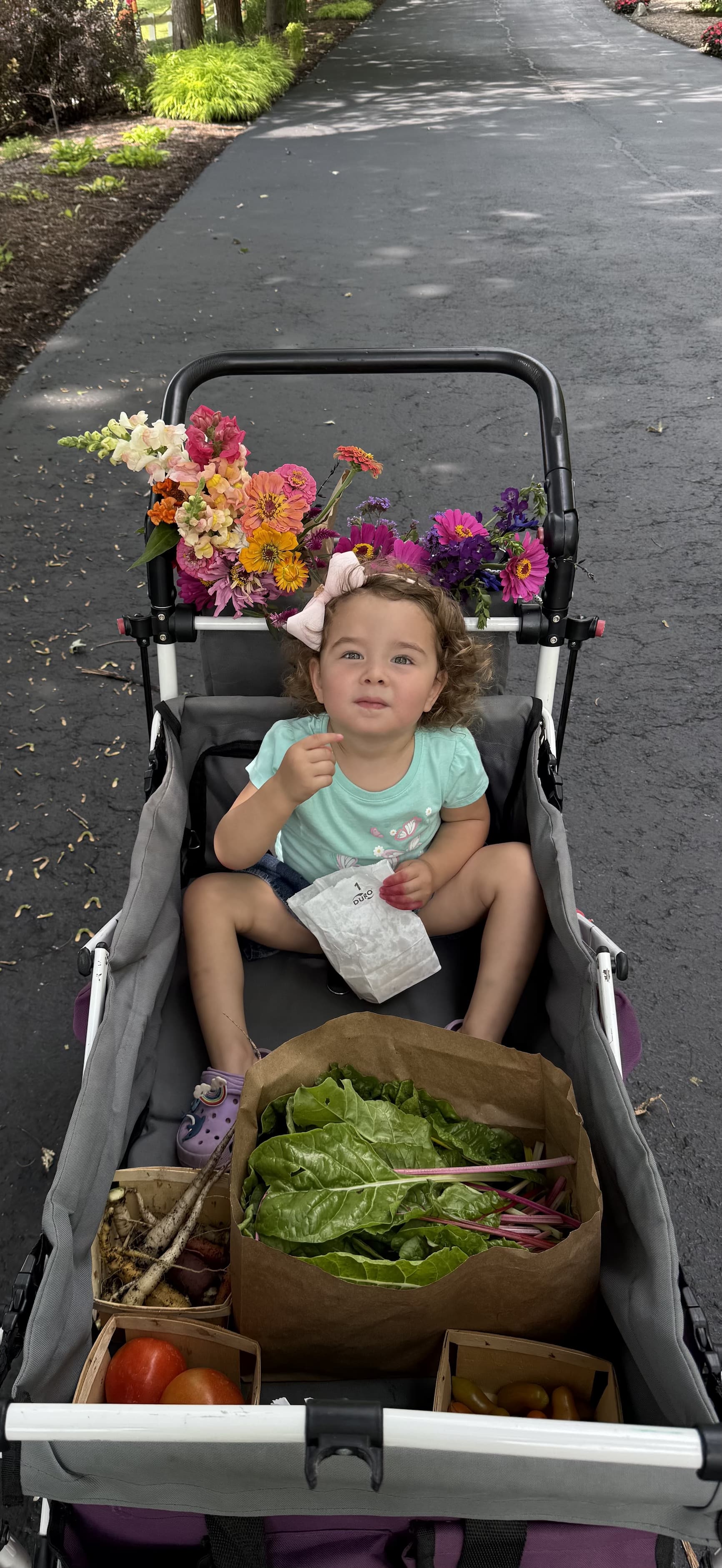 Full garden wagon