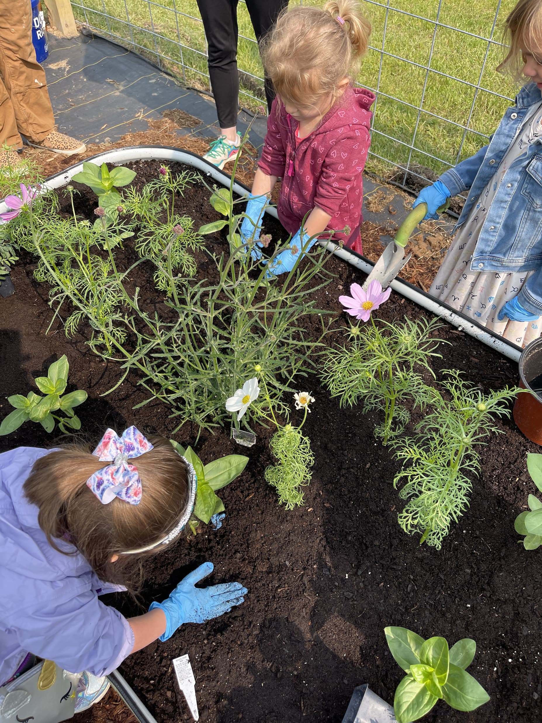 Kids planting