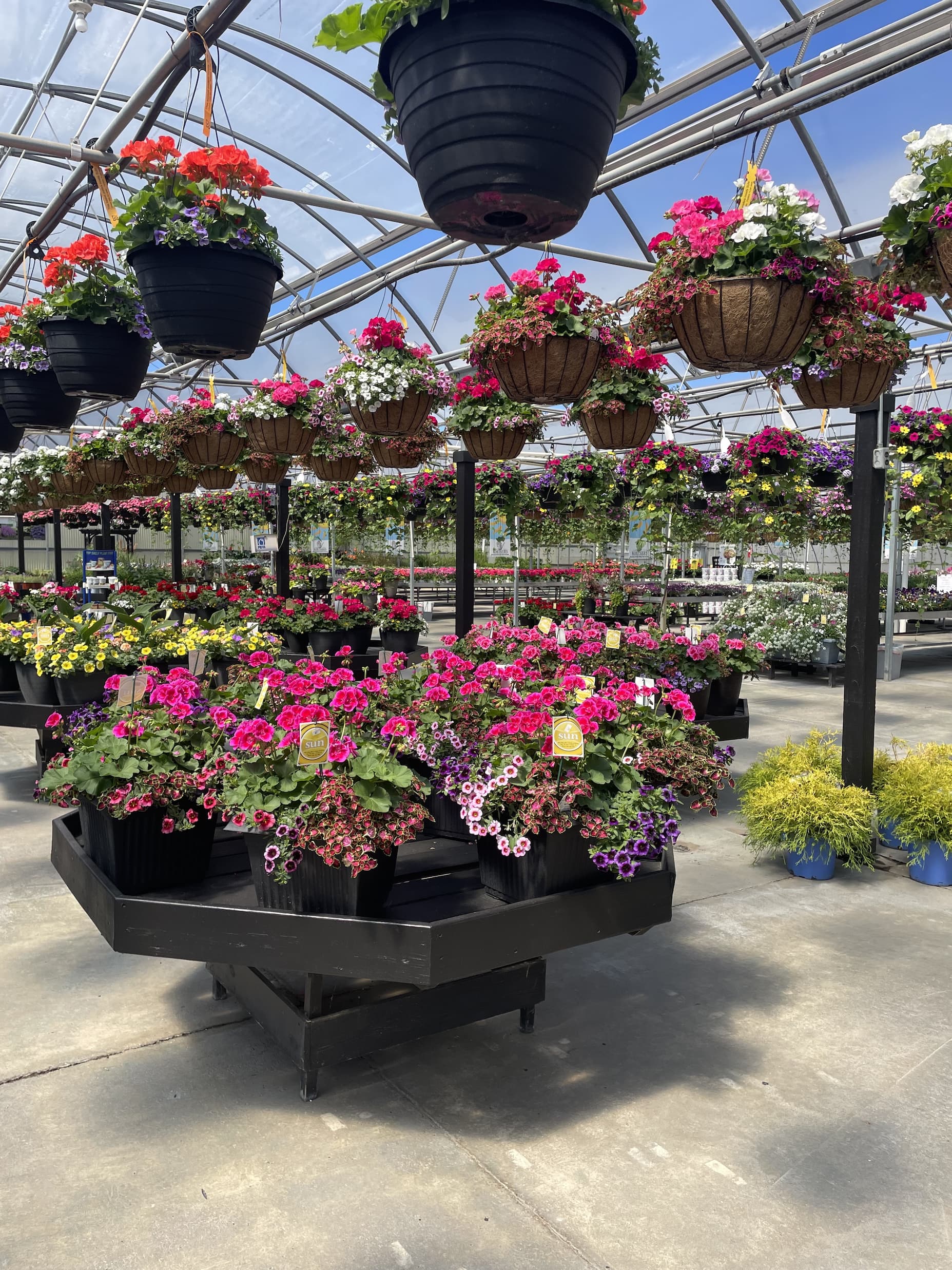 Table of gorgeous patio pots