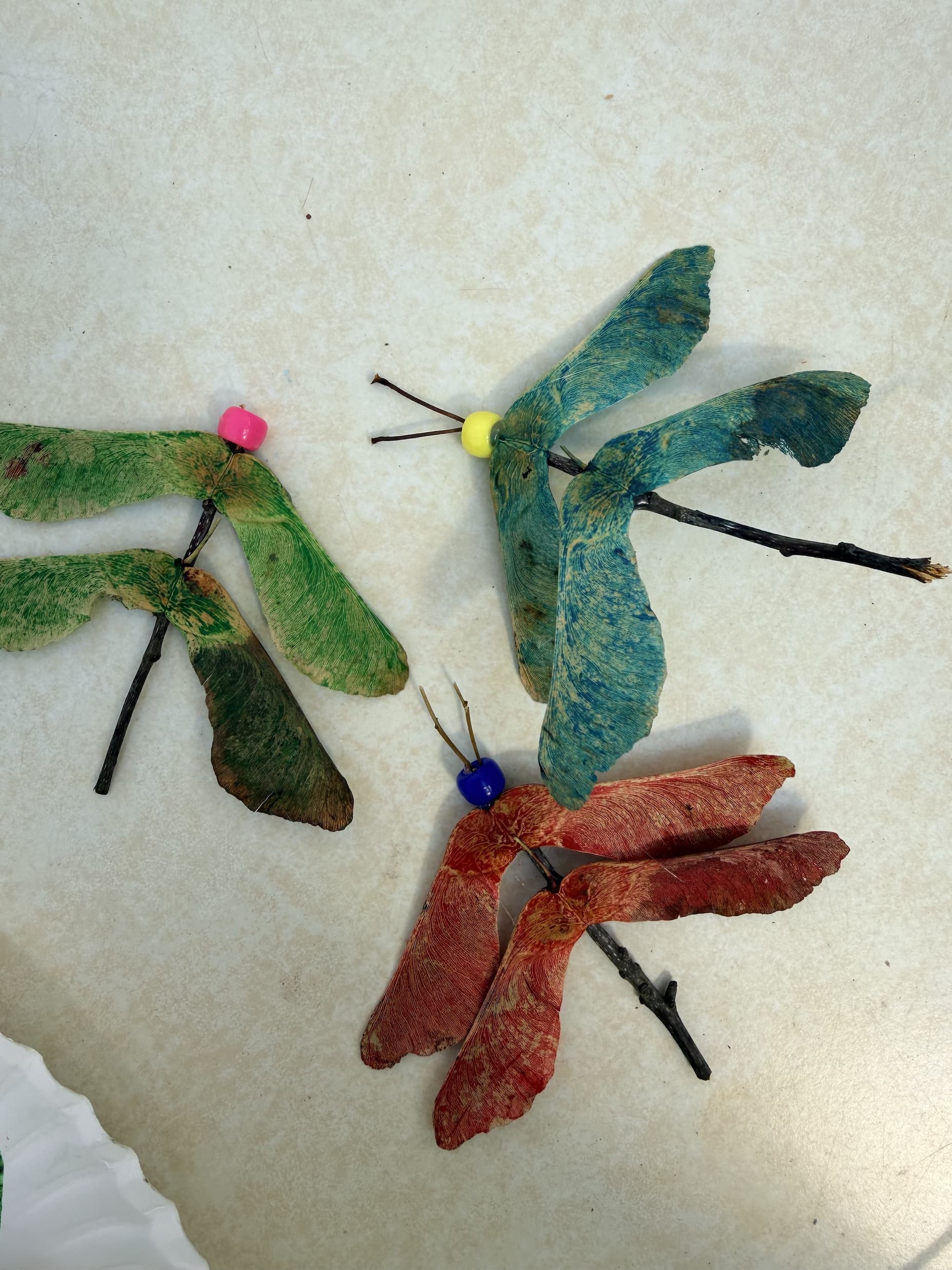 Dragonfly craft