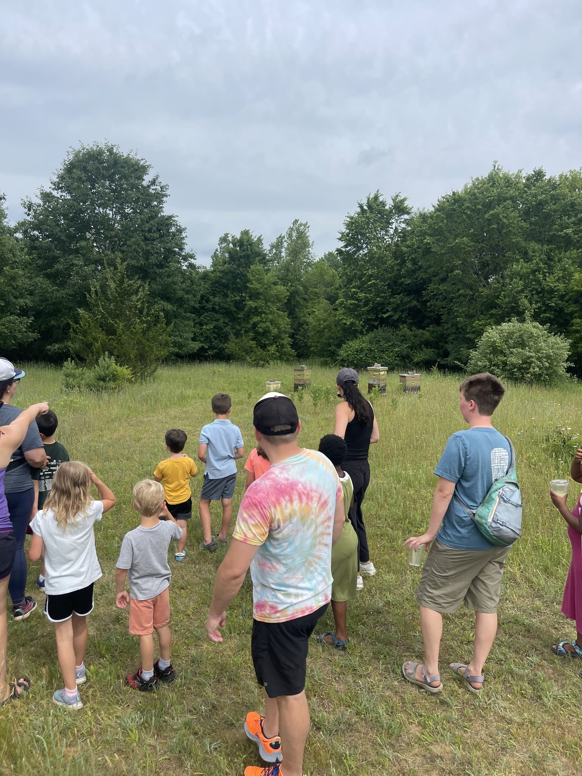 Class on nature hike by the bee hives