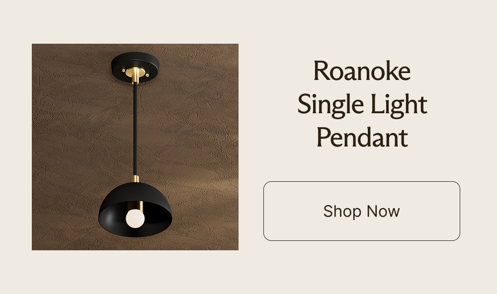 Roanoke Single Light Pendant