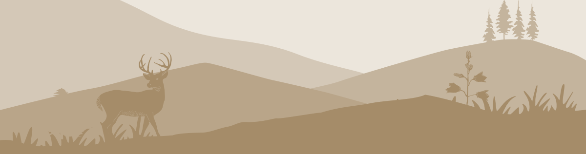 Sunday Style "Fitspiration"