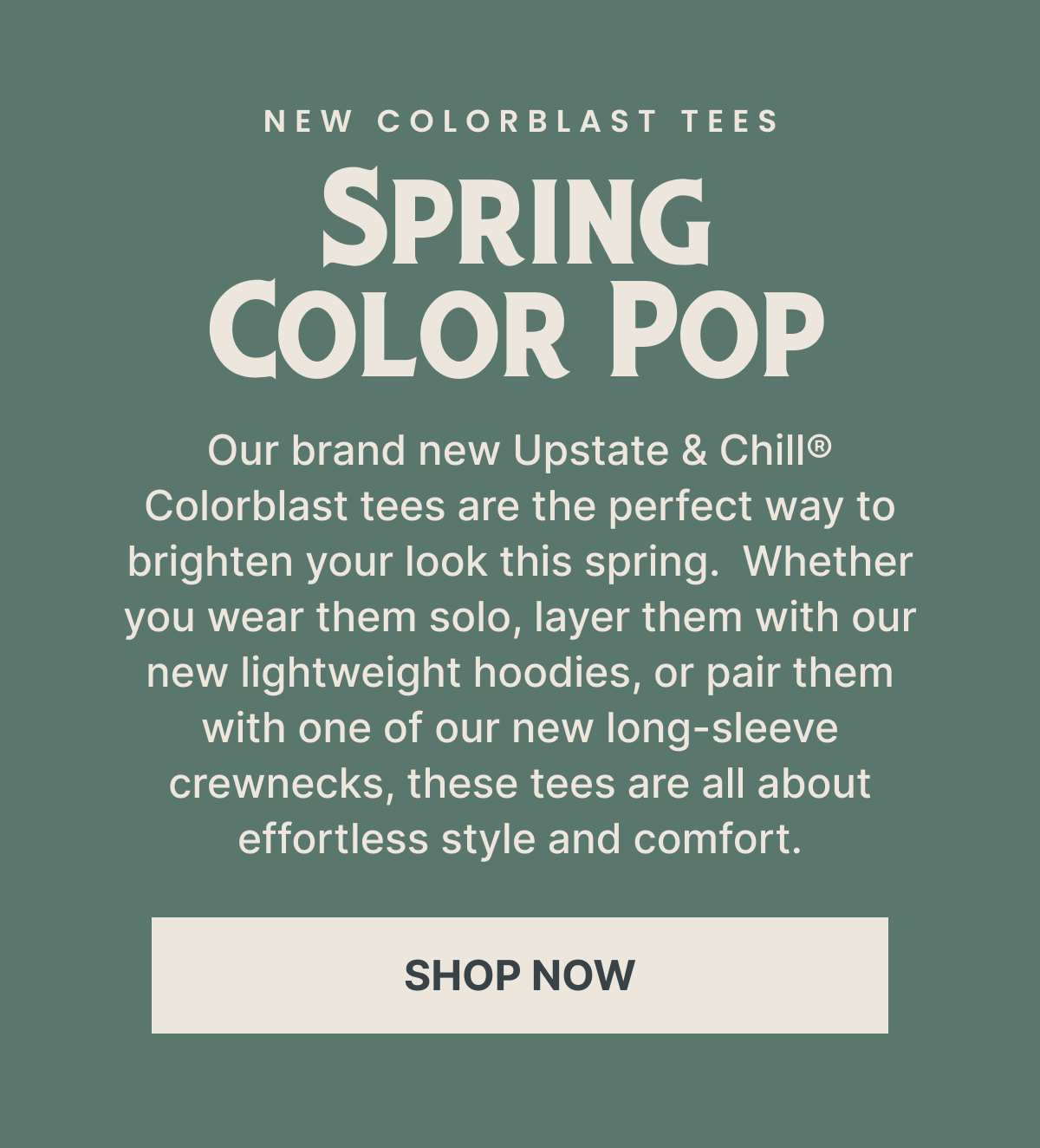 Spring Color Pop
