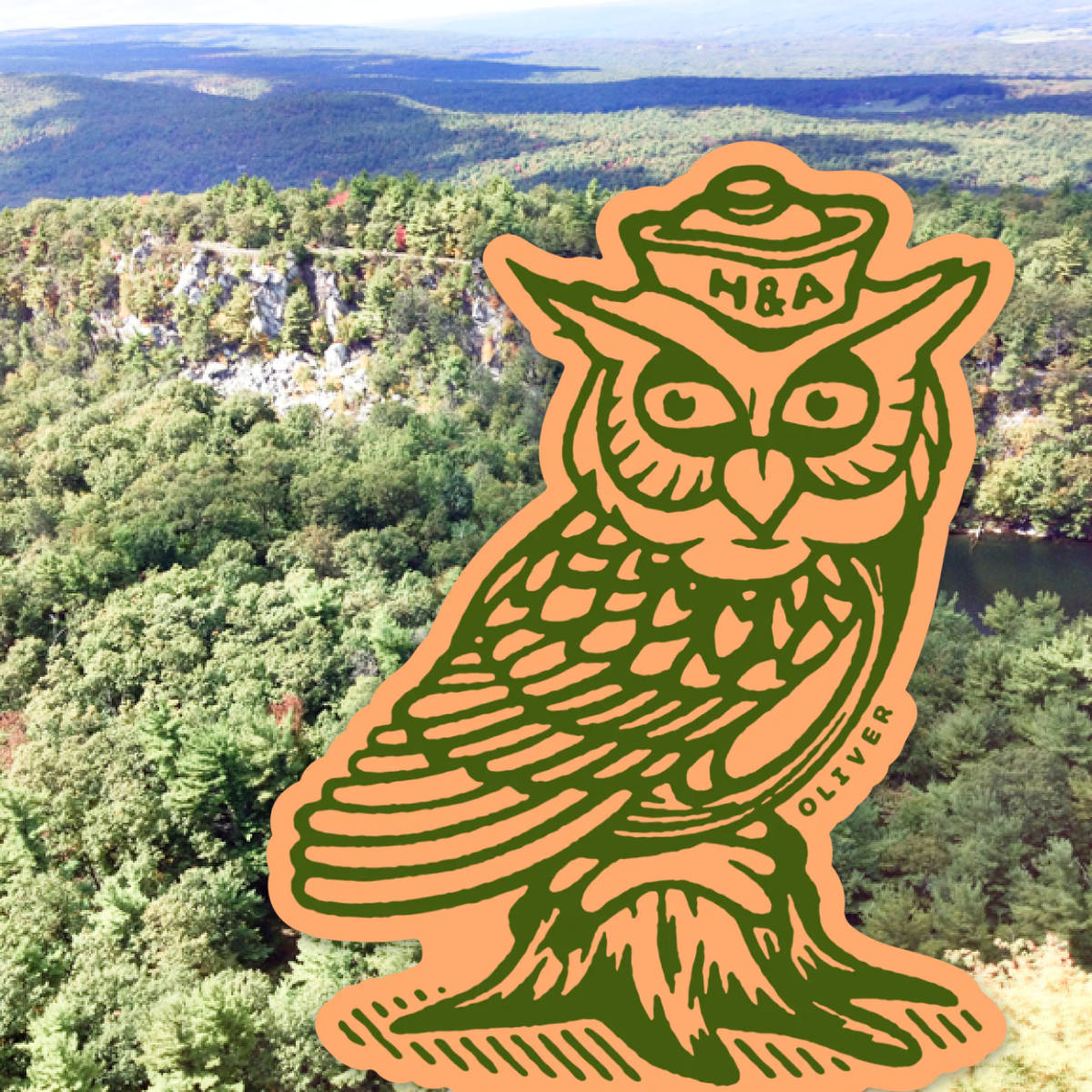 Discovery Series Stickers