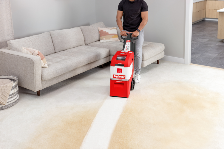 Clean path from using a carpet cleaner rental