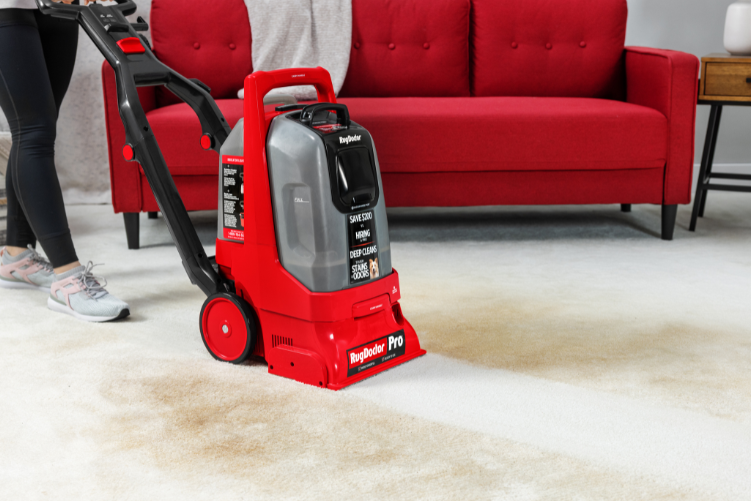 Clean path from using a carpet cleaner rental
