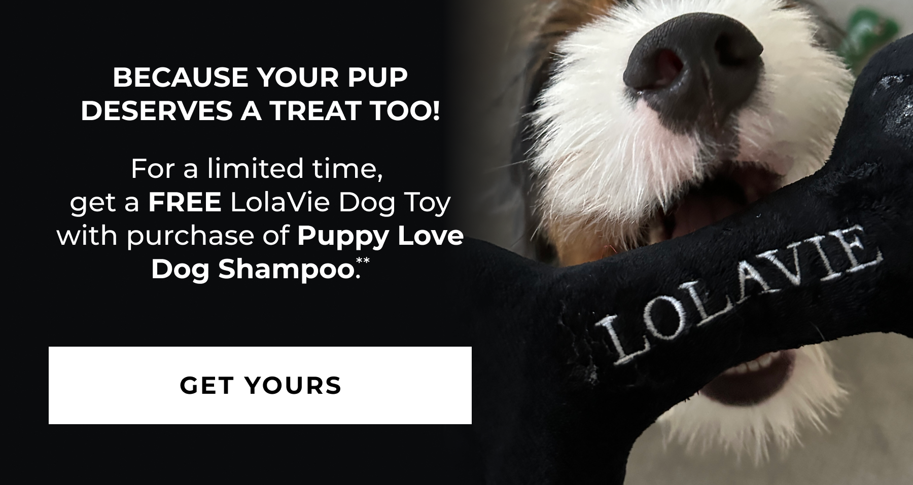 Because your pup deserves a treat too!
