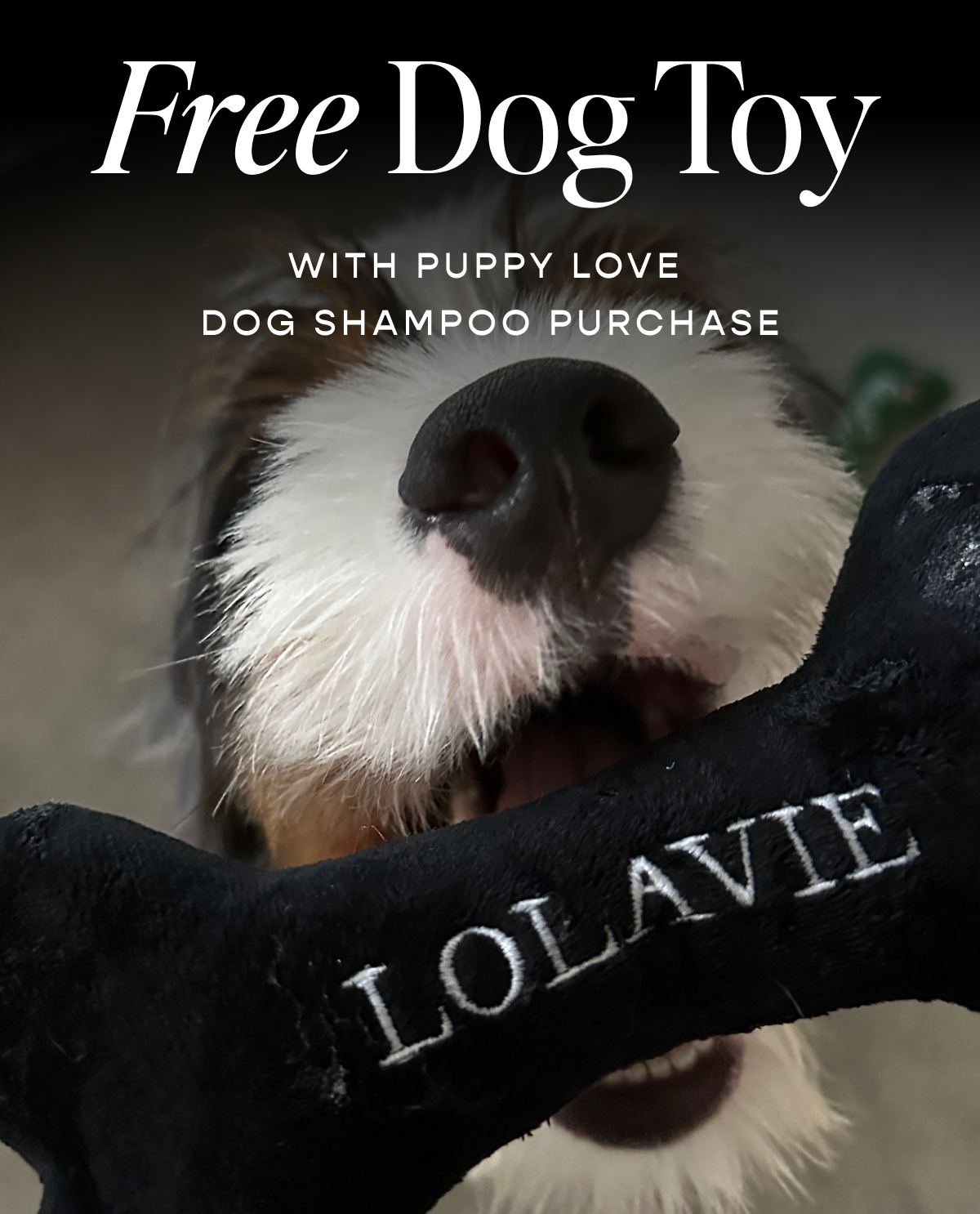 Free Dog Toy With Puppy Love Dog Shampoo Purchase