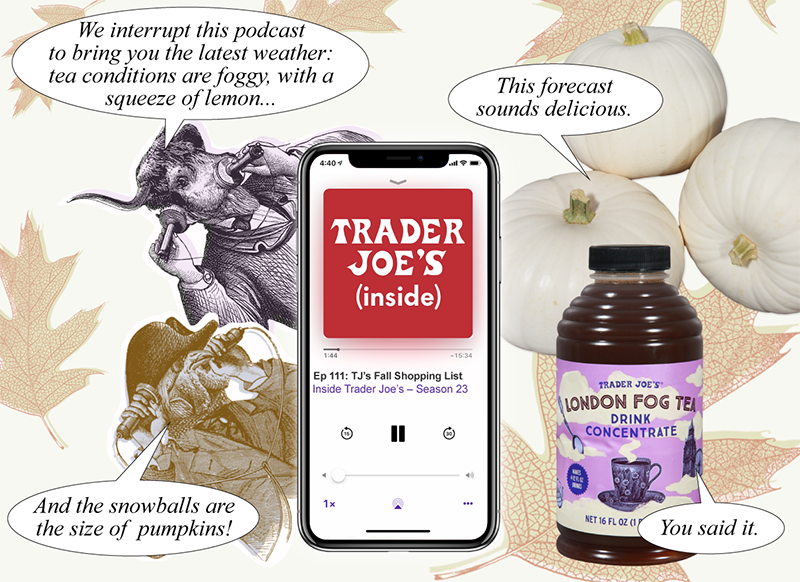 Cartoon illustration of bull head in a suit, and chicken in a suit and hat holding earpieces up to listen; commenting about Trader Joe's Fall products for 2026 against a fall leaf background