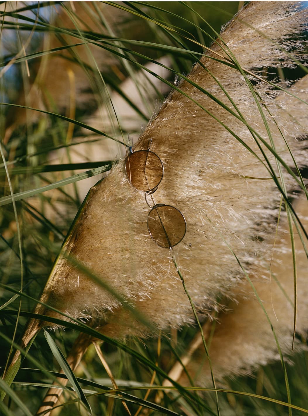 JINS New Classic Sunglasses