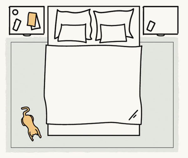 The best rug size for a Queen bed Tumble