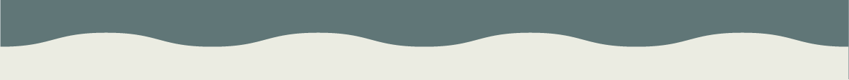 Bottom divider