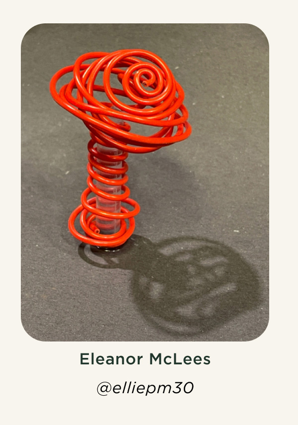 Eleanor McLees @elliepm30