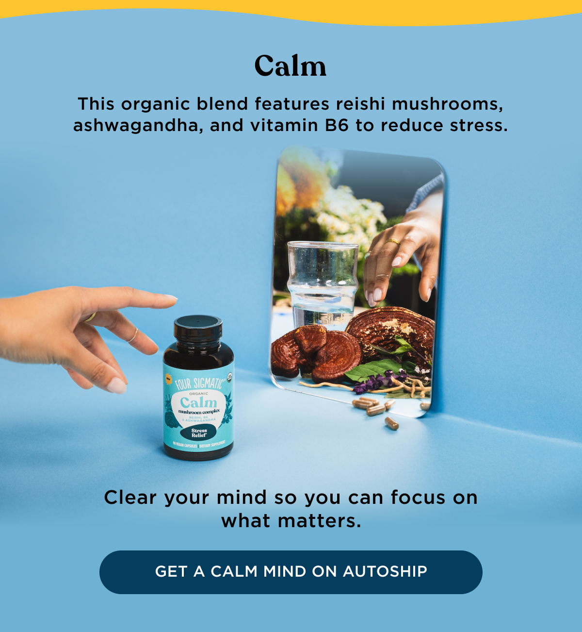 This organic blend features reishi mushrooms, ashwagandha, and vitamin B6 to reduce stress.