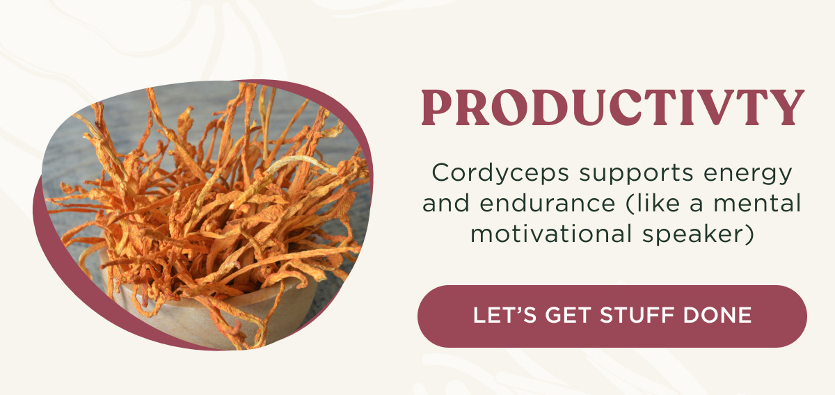 PRODUCTIVITY - Cordyceps supports energy and endurance (like a mental motivational speaker) - LET'S GET STUFF DONE