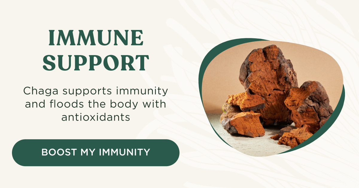 IMMUNE SUPPORT - Chaga supports immunity and floods the body with antioxidants - BOOST MY IMMUNITY