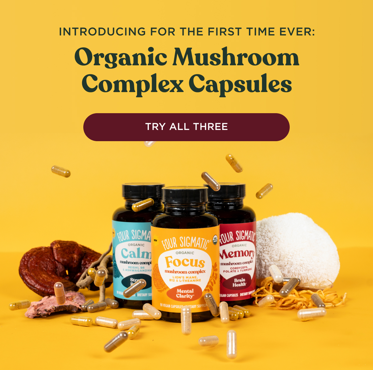 Introducing for the first time, organic mushroom complex capsules