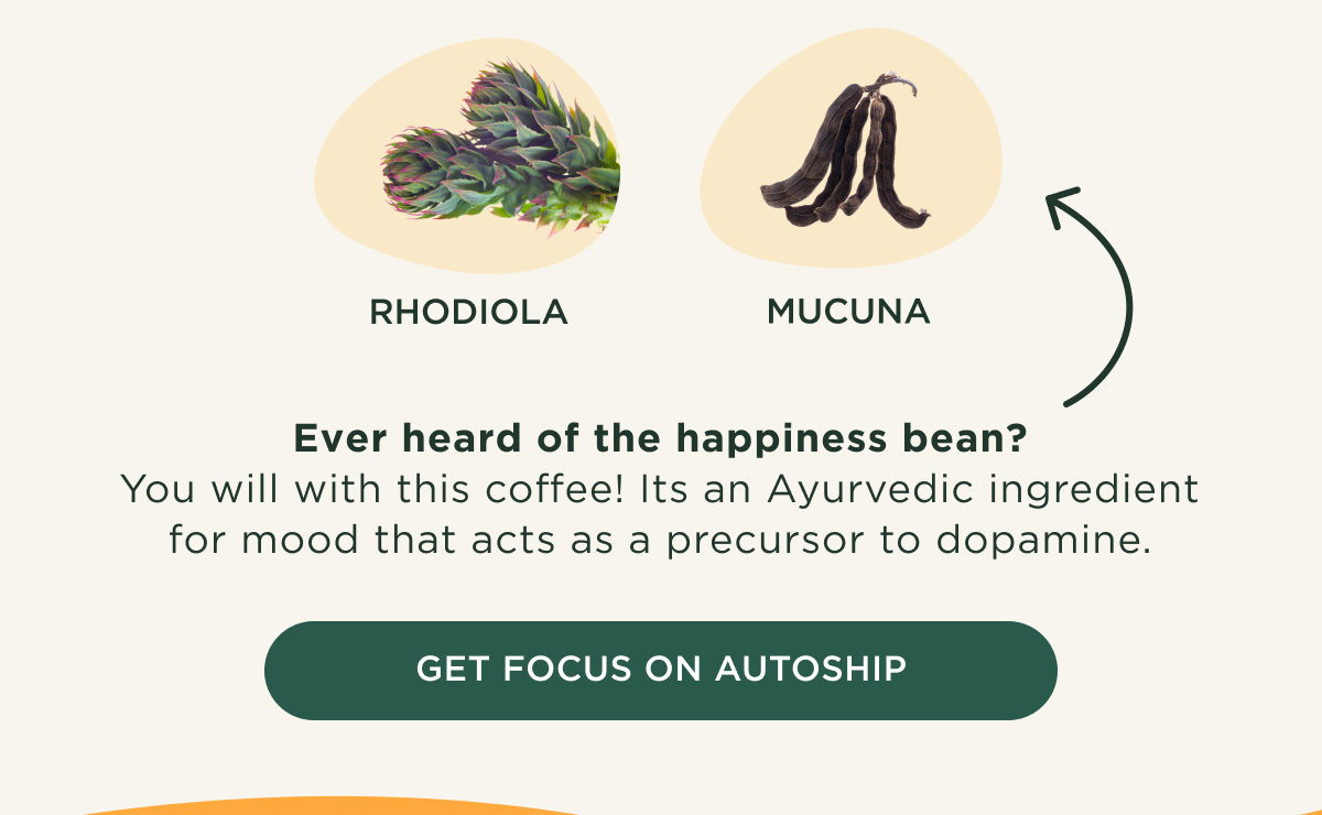RHODIOLA, MUCUNA - Ever heard of the happiness bean? You will with this coffee! It's an Ayurvedic ingredient for mood that acts as a precursor to dopamine. - GET FOCUS ON AUTOSHIP