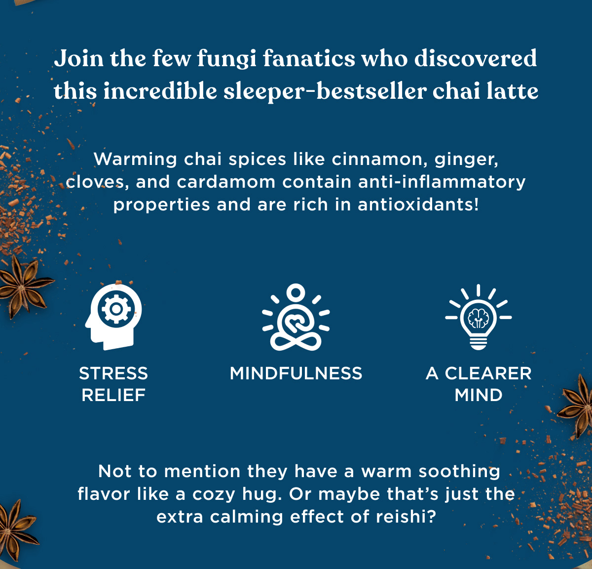 Join the few fungi fanatics who discovered this incredible sleeper-bestseller chai latte - Warming chai spices like cinnamon, ginger, cloves, and cardamom contain anti-inflammatory properties and are rich in antioxidants! - STRESS RELIEF, MINDFULNESS, A CLEARER MIND - Not to mention they have a warm soothing flavor like a cozy hug. Or maybe that's just the extra calming effect of reishi?