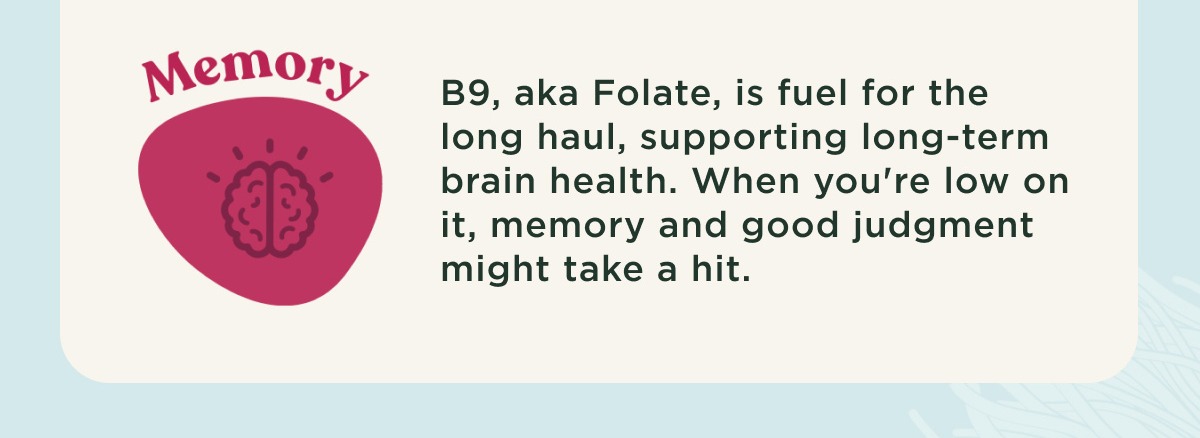 Memory B9