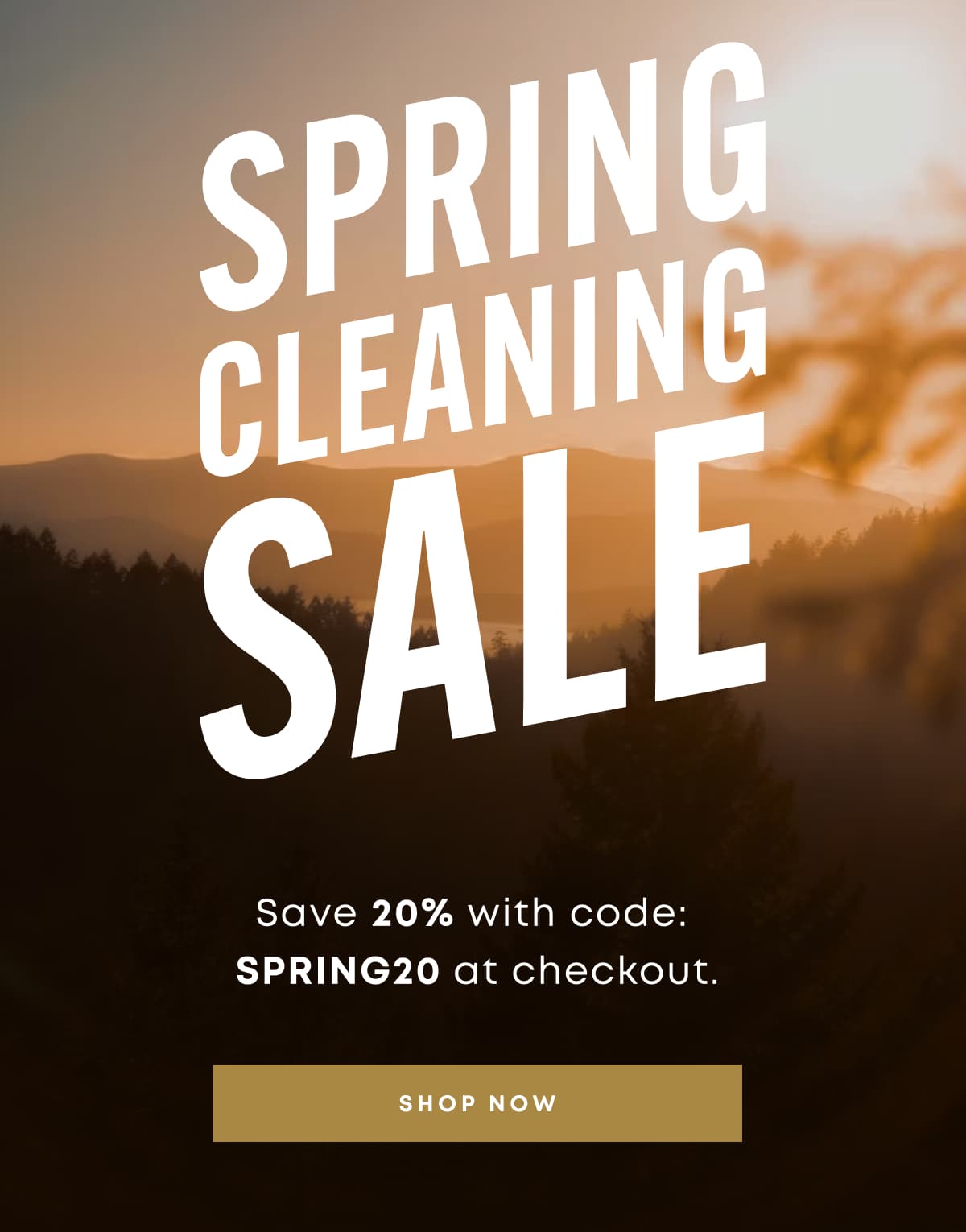 Spring Cleaning Sale