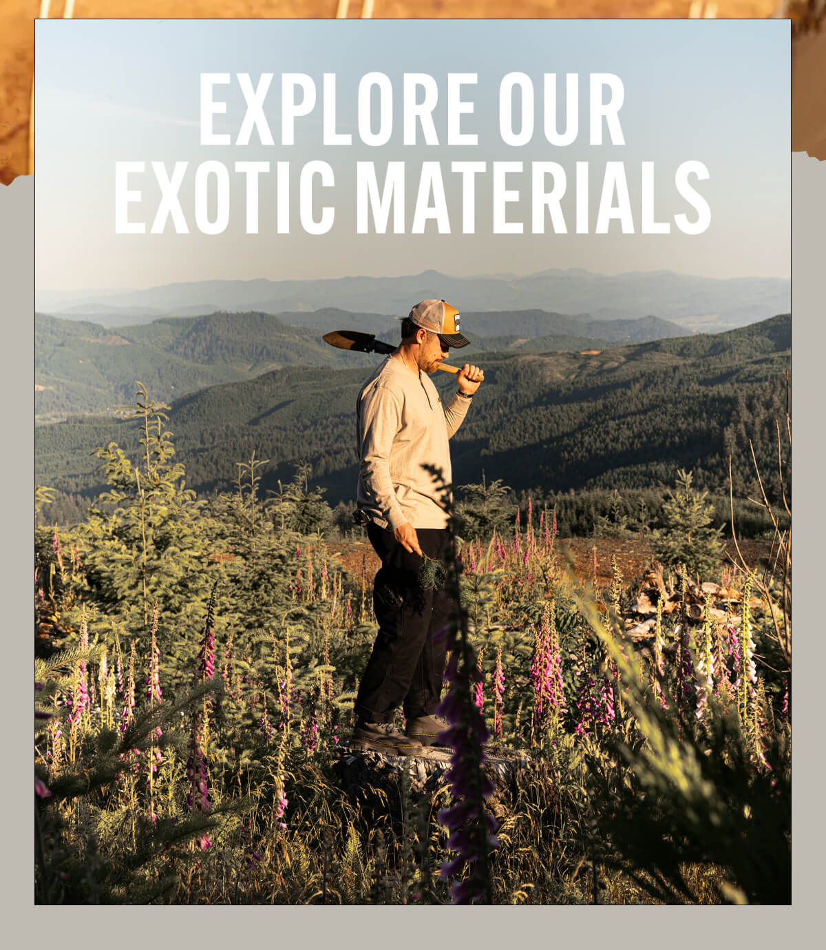 Explore Exotic Materials 