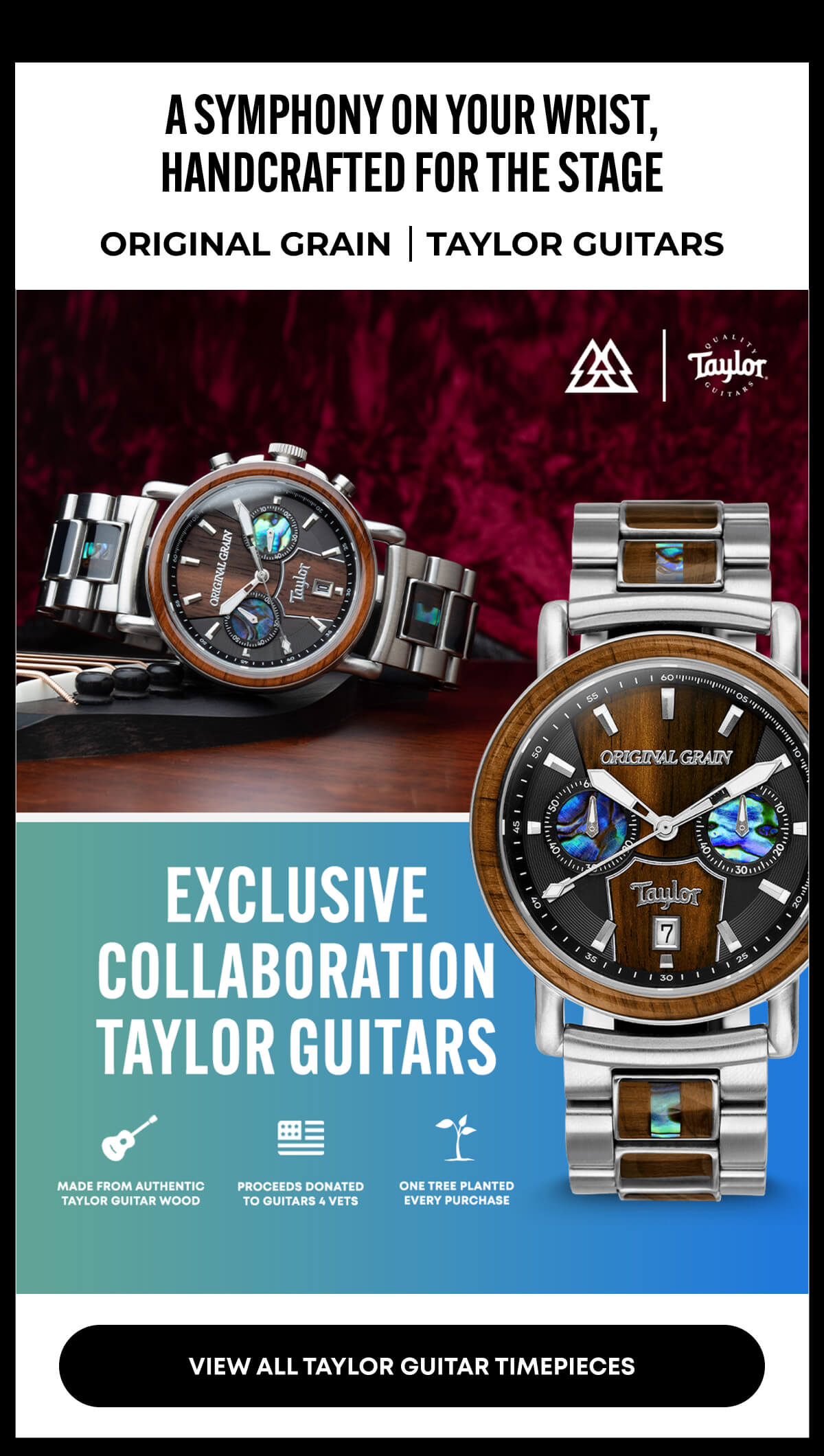 Taylor Guitars 