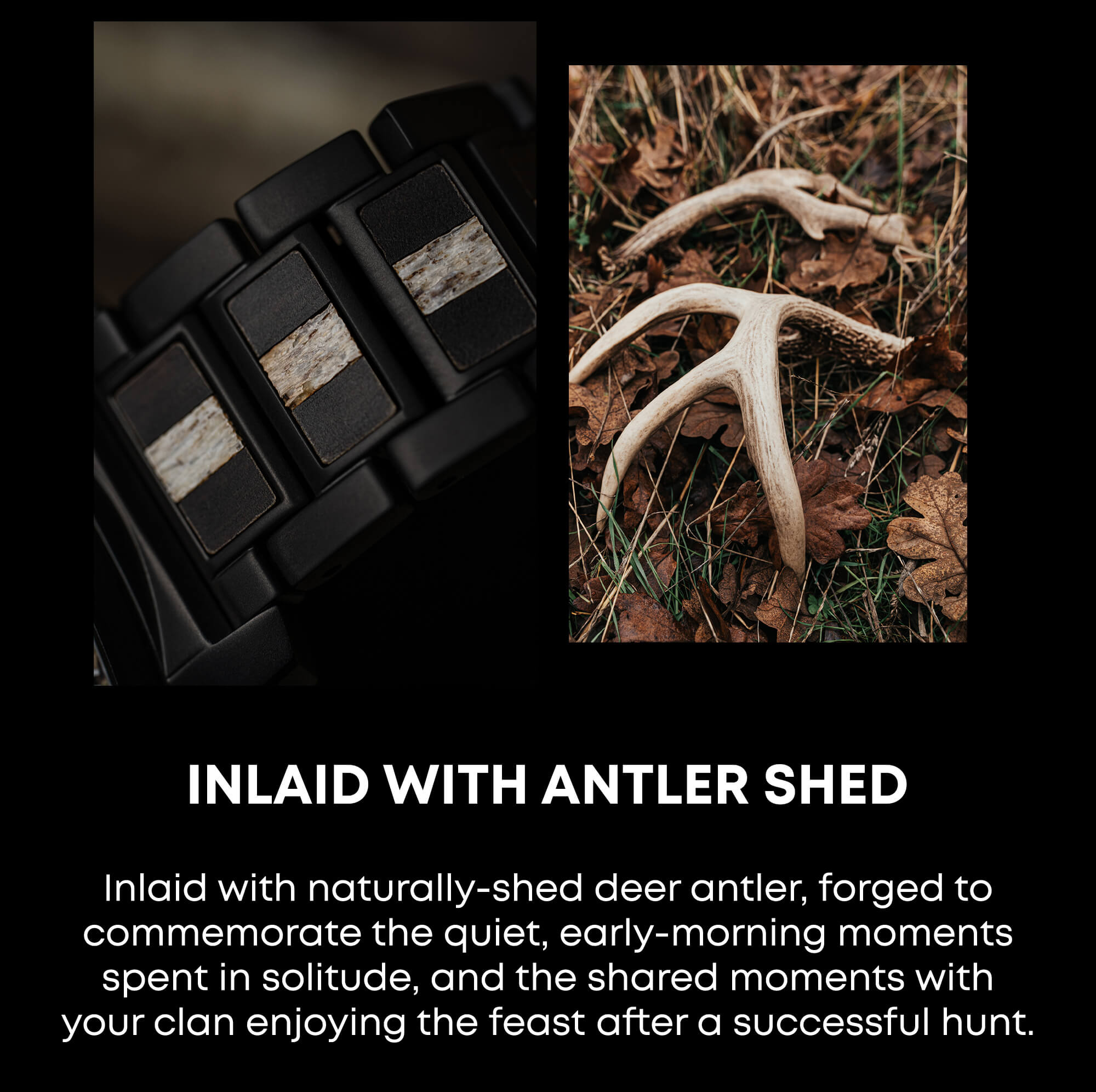 Inlaid with Antler Shed