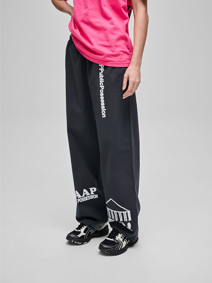 Public Possession Pants