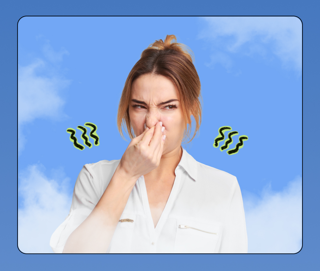 STINKY FART