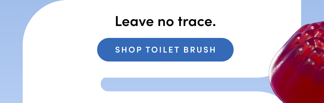 SHOP TOILET BRUSH