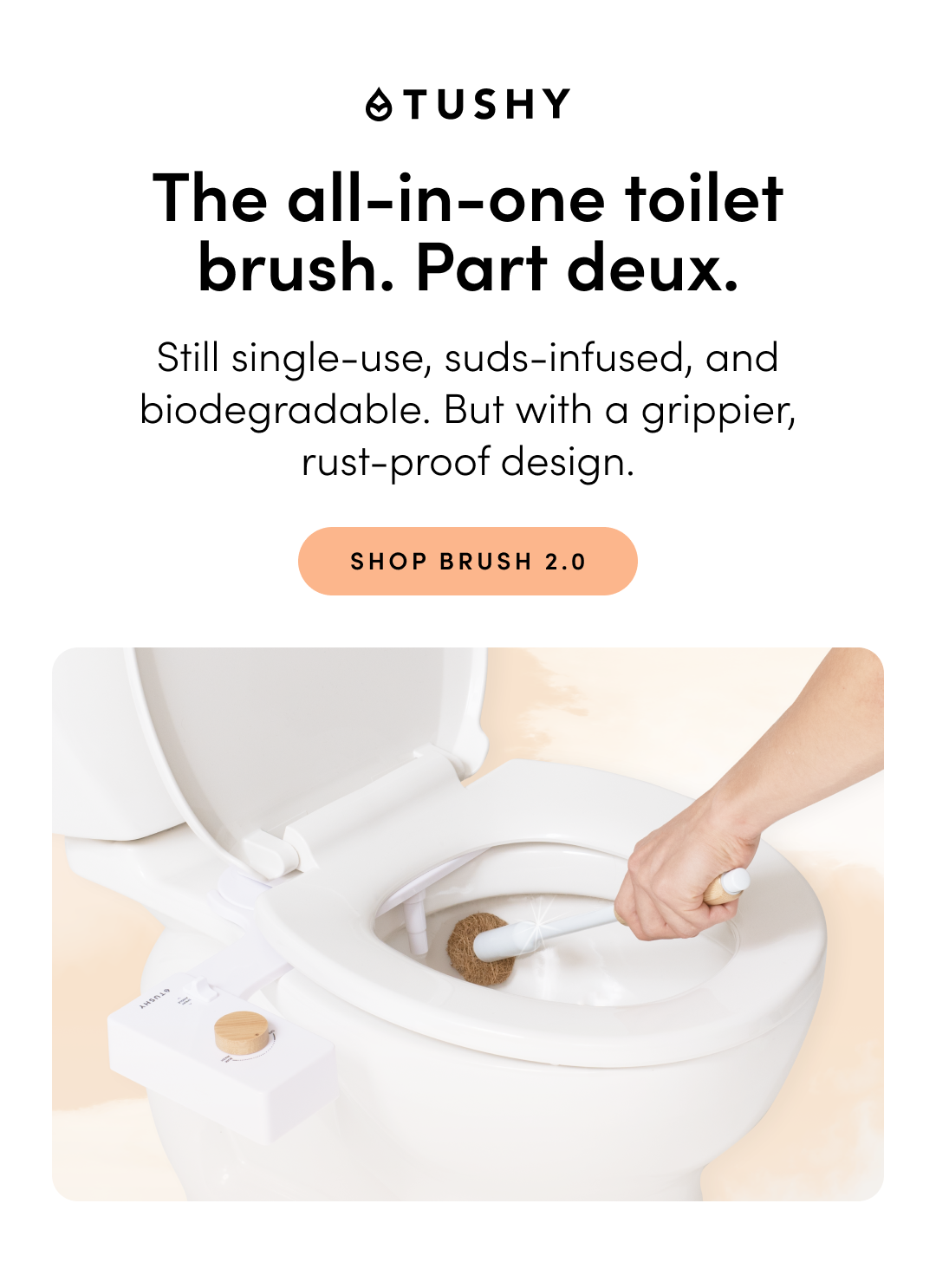 MEET BRUSH 2.0 MEET BRUSH 2.0