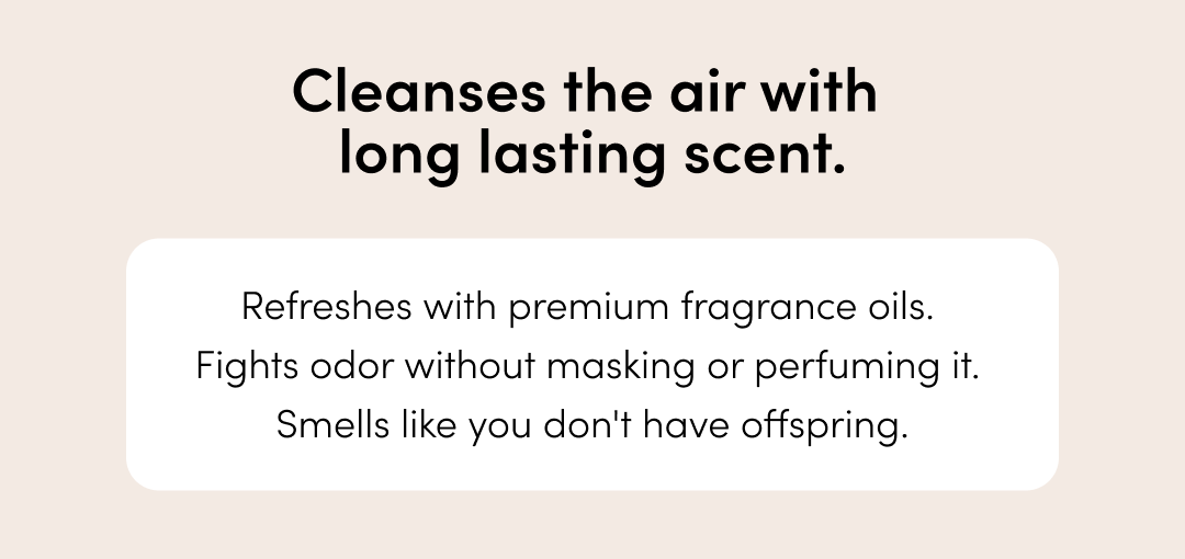 SHOP BATHROOM SPRAY 2.0